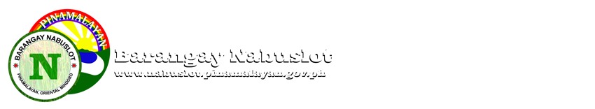 www.nabuslot.pinamalayan.gov.ph